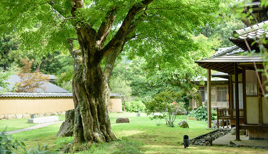 季節によって表情を変える箱根の自然