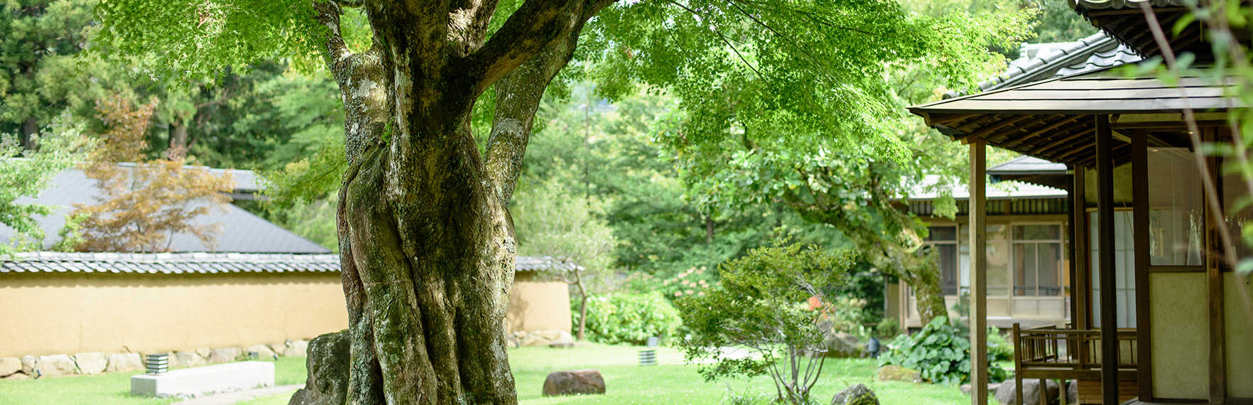 庭院