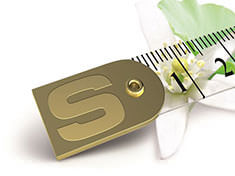 植物芳香療法的身體保養